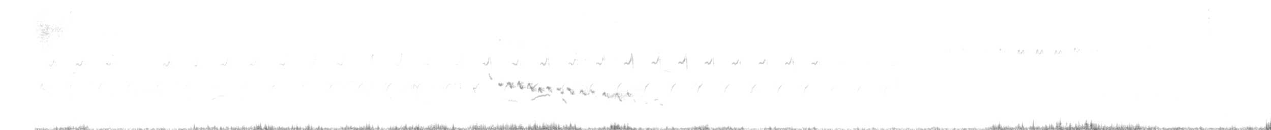 Wüstengrasmücke - ML243829921