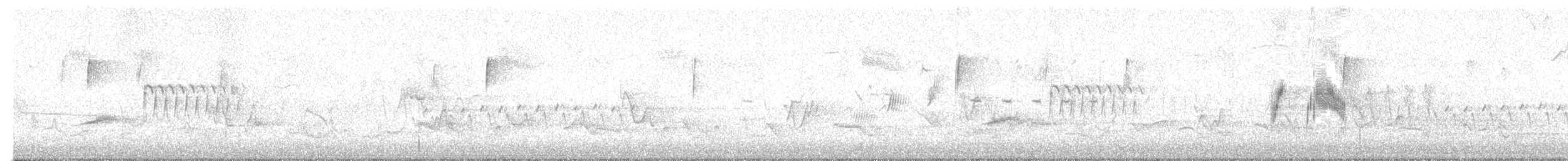 メジロハエトリ - ML243839031