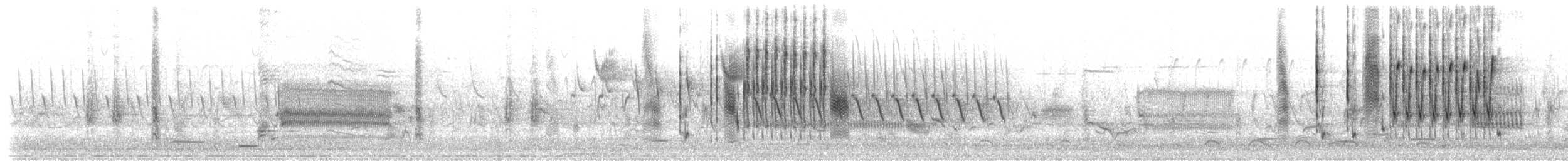 střízlík bažinný [skupina palustris] - ML243866111