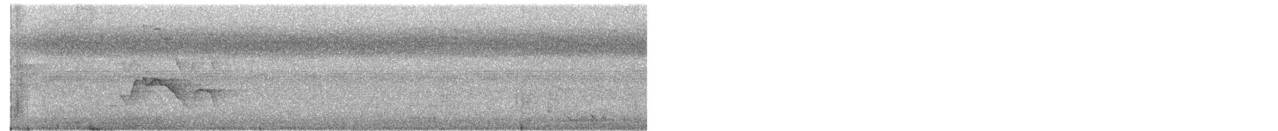 Свистач плямистобокий - ML24386921