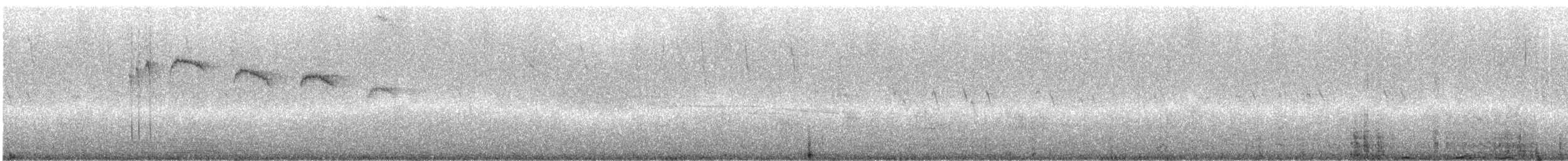 キンミドリテリオハチドリ（atrigularis） - ML243872