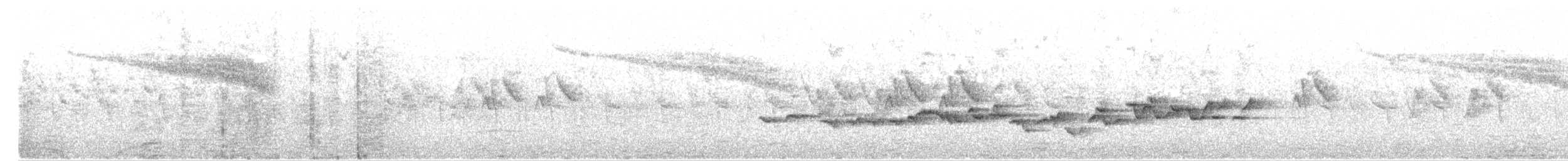 skiferryggfluesnapper - ML243881981