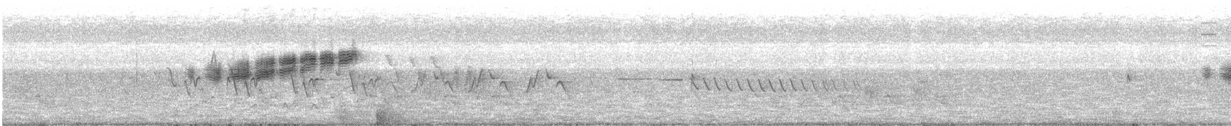 Prairie Warbler - ML243889241