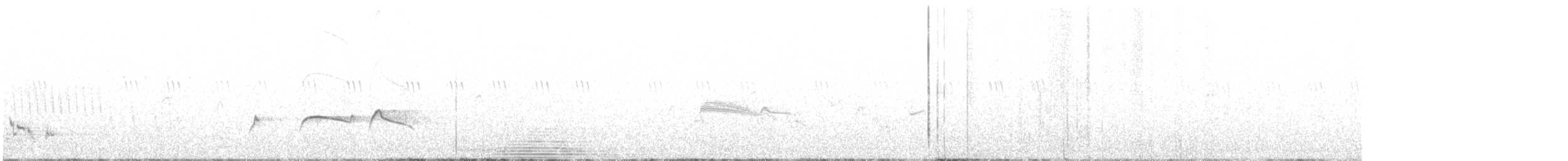 Olive-sided Flycatcher - ML243894401