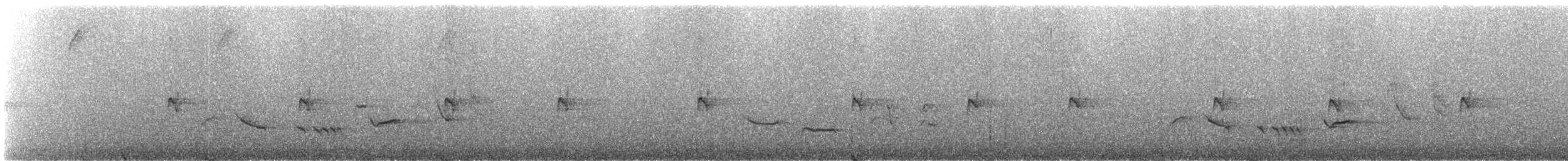 Светлоглазая курэта - ML243897