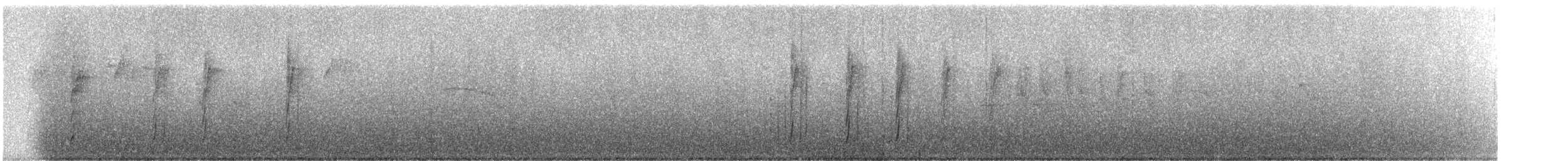 Taçlı Bülbül Tiranı (frontalis/albidiadema) - ML243904