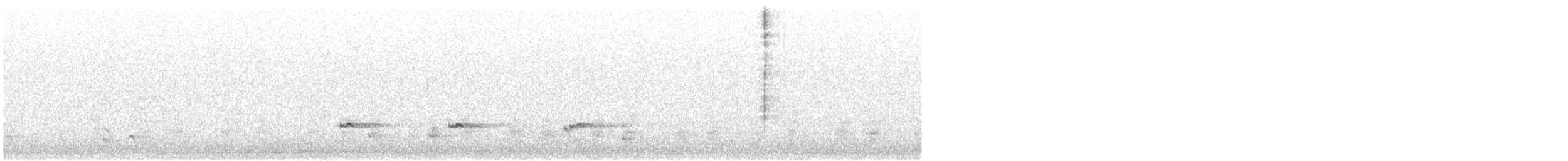 Zertzeta arrunta (eurasiarra) - ML243927521