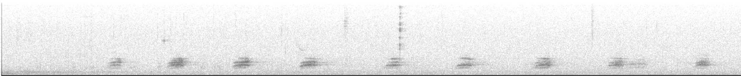 Stockente - ML243928231