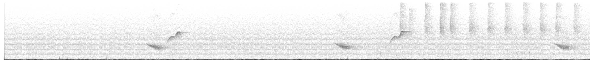 Дрізд-короткодзьоб бурий - ML243934721