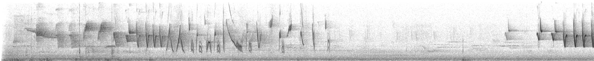 Drosselwaldsänger - ML243934941