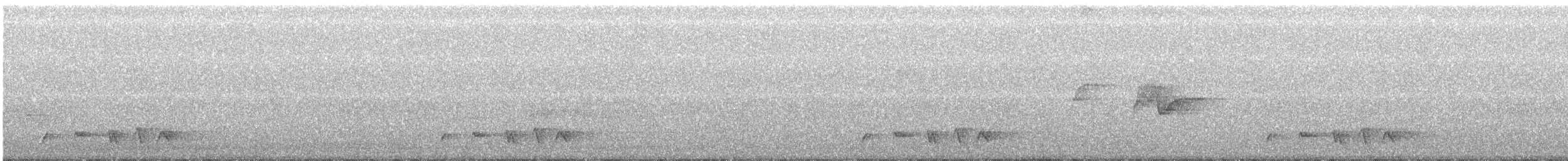 Lesser Cuckoo - ML243939901
