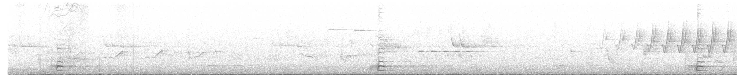 Reinita Protonotaria - ML243939941