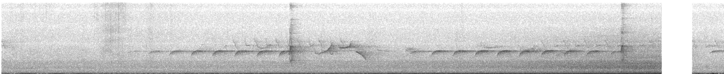 strakapoud bělohřbetý - ML243940181