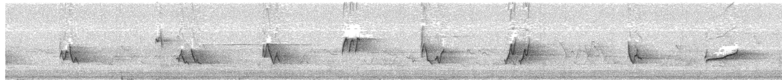 Philadelphia Vireo - ML243941931