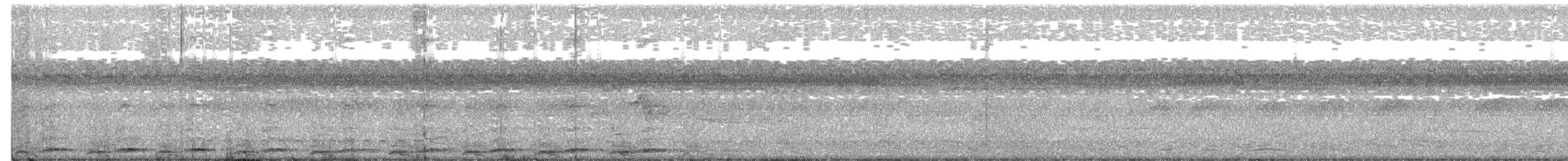 Черноухий зубцеклювый перепел - ML243948221