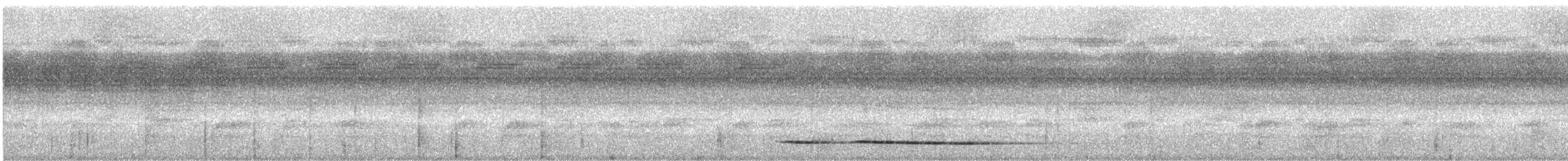 Ochre-striped Antpitta - ML243953