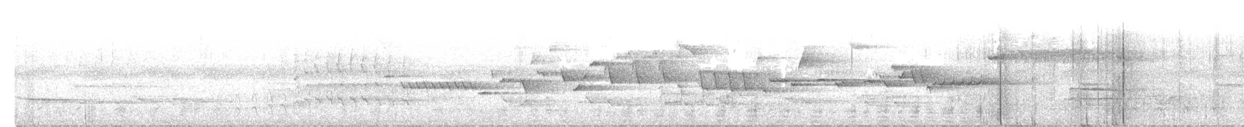 フユミソサザイ - ML243959691
