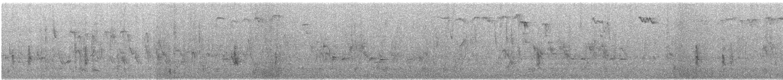 Roselin à tête grise (groupe tephrocotis) - ML243960051