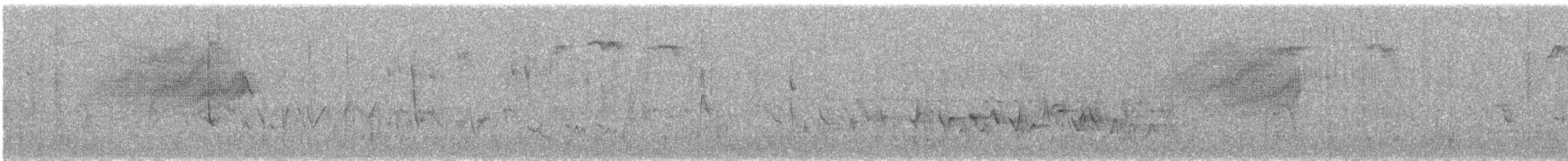 Cassin Çütresi - ML243960511