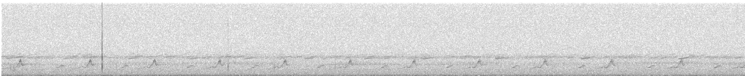 Schwarzkehl-Nachtschwalbe - ML243963061