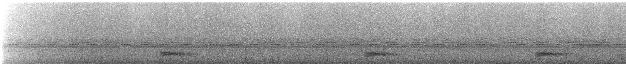 Chotacabras Negruzco - ML243964