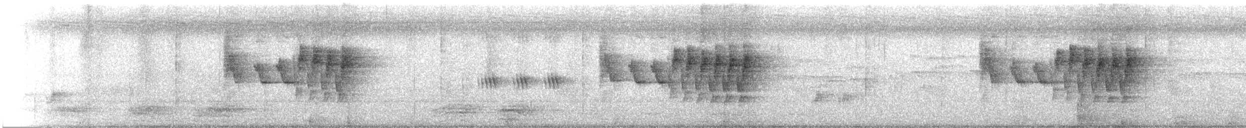 ハイムネハウチワドリ - ML243967711