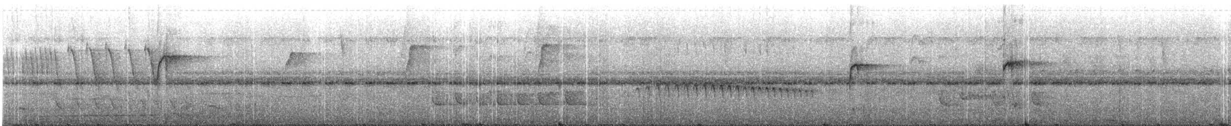 Olivscheitel-Breitschnabeltyrann (confusus) - ML243973