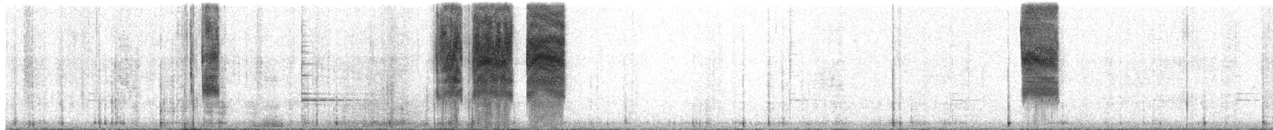 Savannah Serçesi (rostratus/atratus) - ML243975851