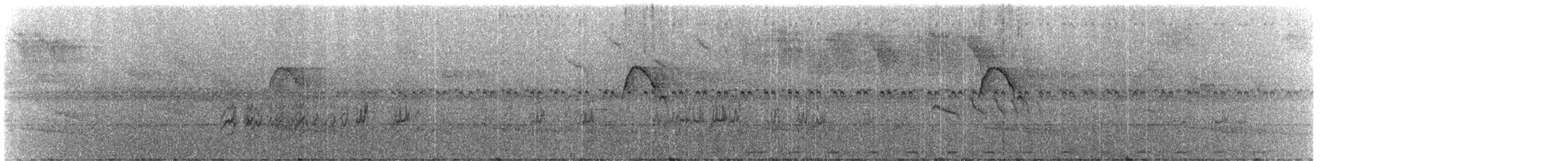 Spot-winged Parrotlet - ML244003