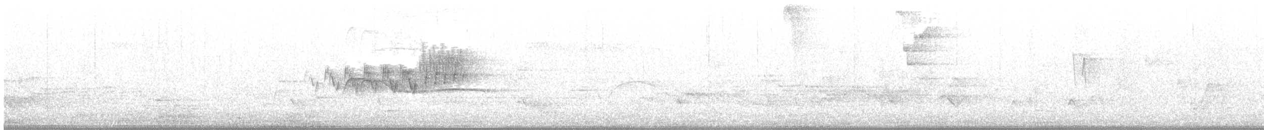 Cerulean Warbler - ML244025001