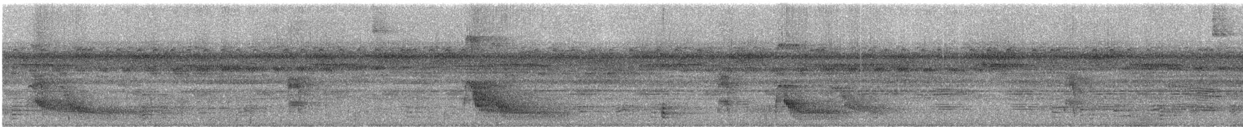 Rotspiegel-Ameisenvogel - ML244039