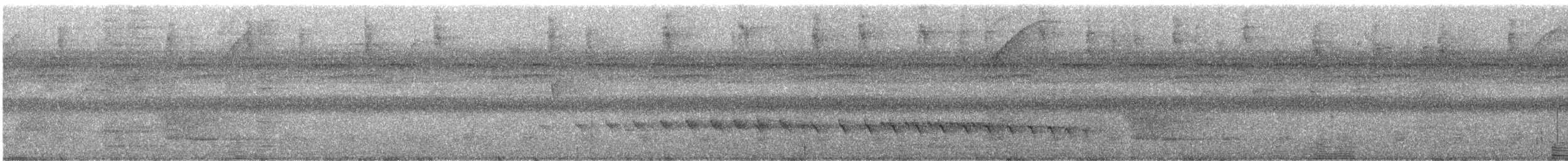 Bıyıklı Karıncaçıvgını (obscura) - ML244041