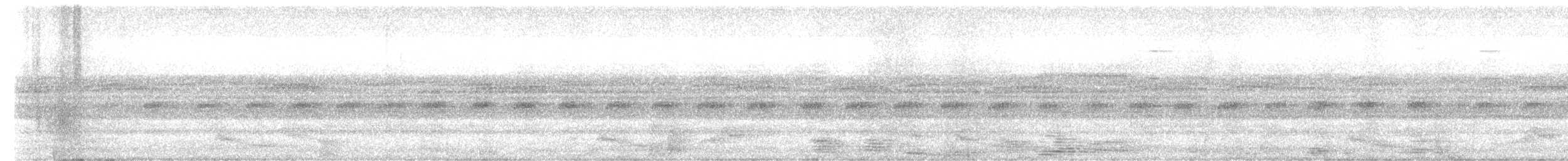 Pauraquenachtschwalbe - ML244041281