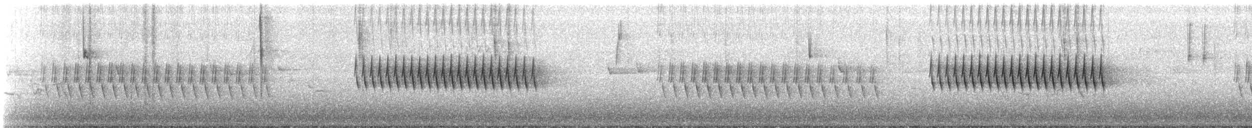 strnadec zimní [skupina oreganus] - ML244043781