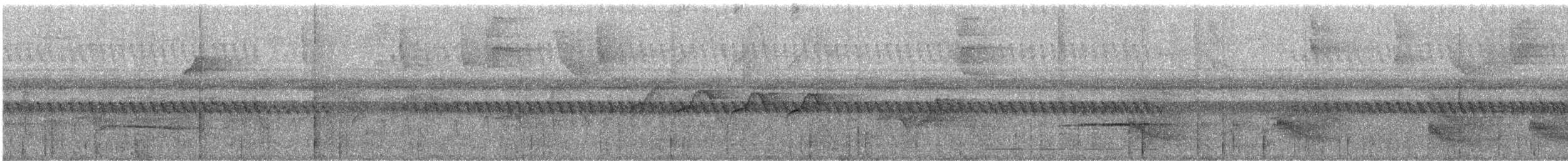 Rio Suno Antwren - ML244073