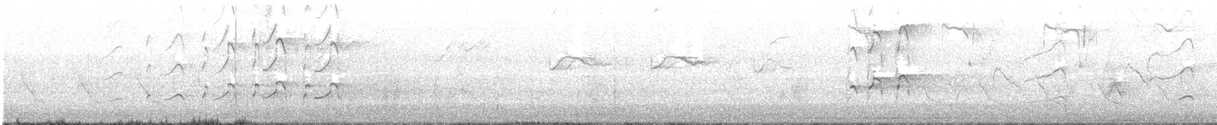 Swallow-tailed Kite - ML244089951