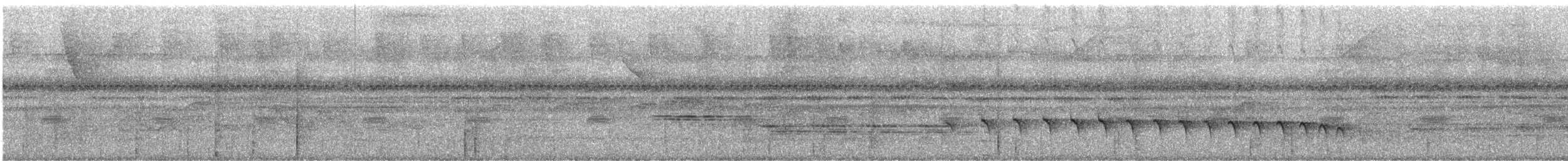 コバシヒメアリサザイ（obscura） - ML244090