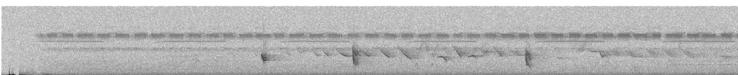 Black-billed Seed-Finch - ML244128