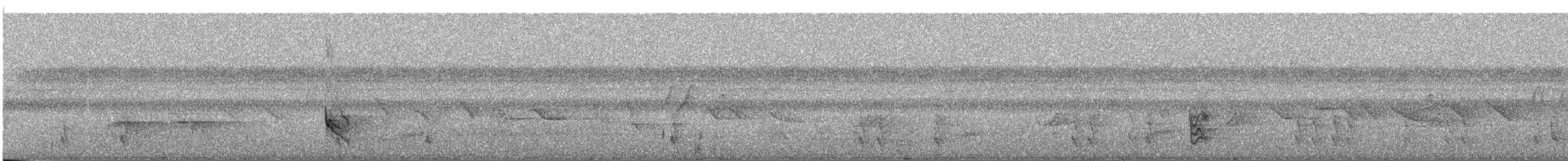 Black-billed Seed-Finch - ML244129