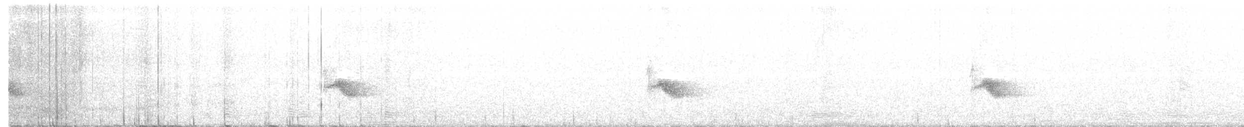 Дрізд-короткодзьоб канадський - ML244143121