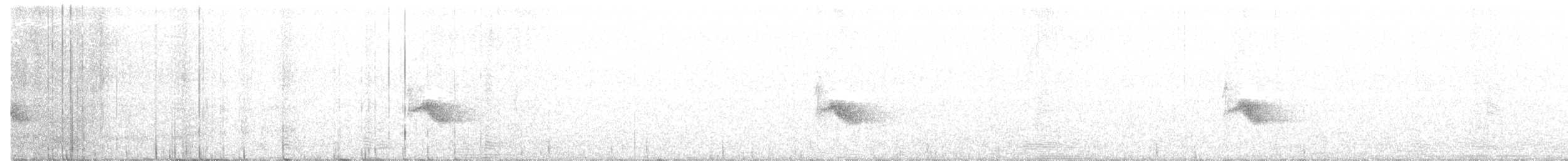 Bicknell's Thrush - ML244143121