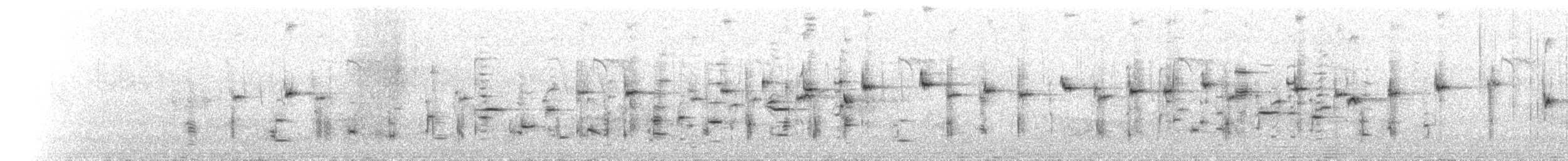 Шпак-куцохвіст рудочеревий - ML244151071