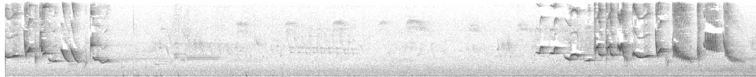 Oriole des vergers - ML244152491