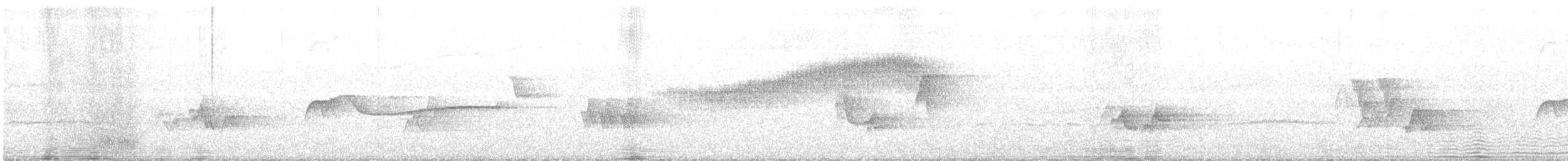 Reinita sp. (Setophaga sp.) - ML244155331