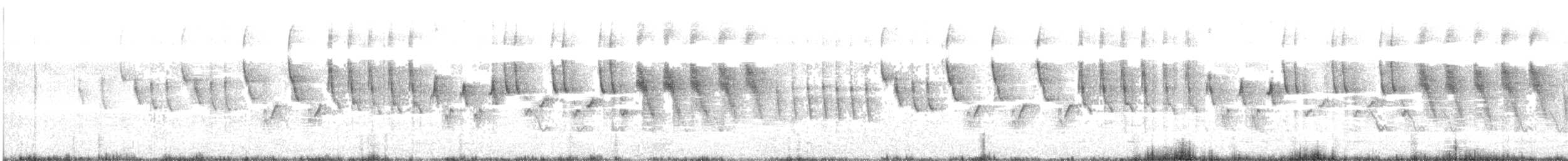 Коронник рудоголовий (підвид salvini) - ML244167841