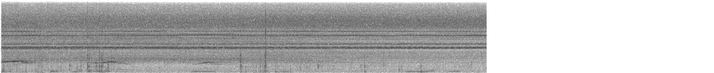 Полосатый зимородок [группа pulchella] - ML244174631