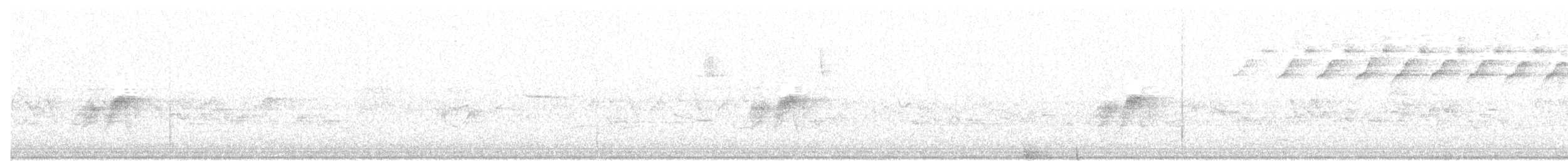 Empidonax sp. - ML244196681