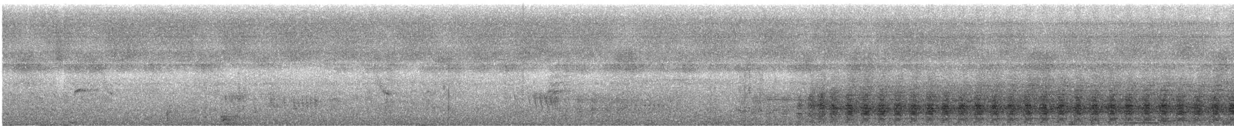 Speckled Chachalaca (Speckled) - ML244207