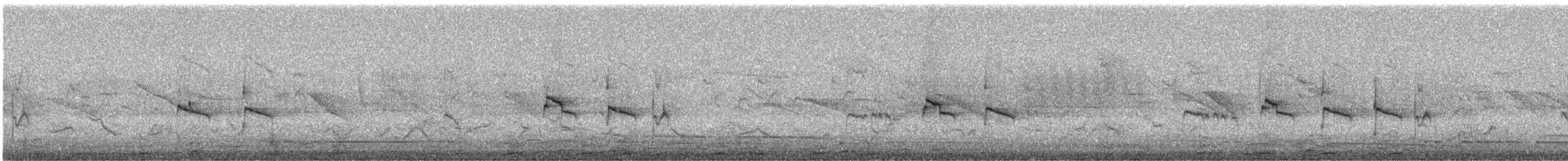 Güneyli Bıyıksız Tiranulet [obsoletum grubu] - ML244236