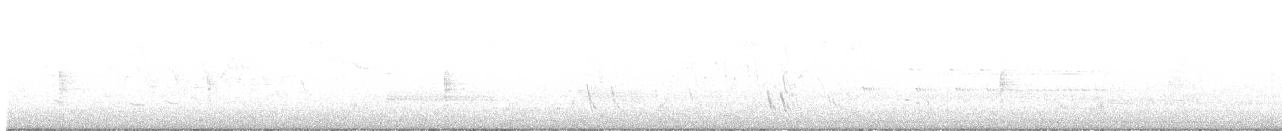 Büyük Mor Kırlangıç - ML244251281